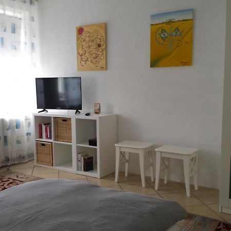 Moderne Wohnung In Barockem Altstadthaus Nahe Altstadt Und Radweg Blieskastel Exteriér fotografie