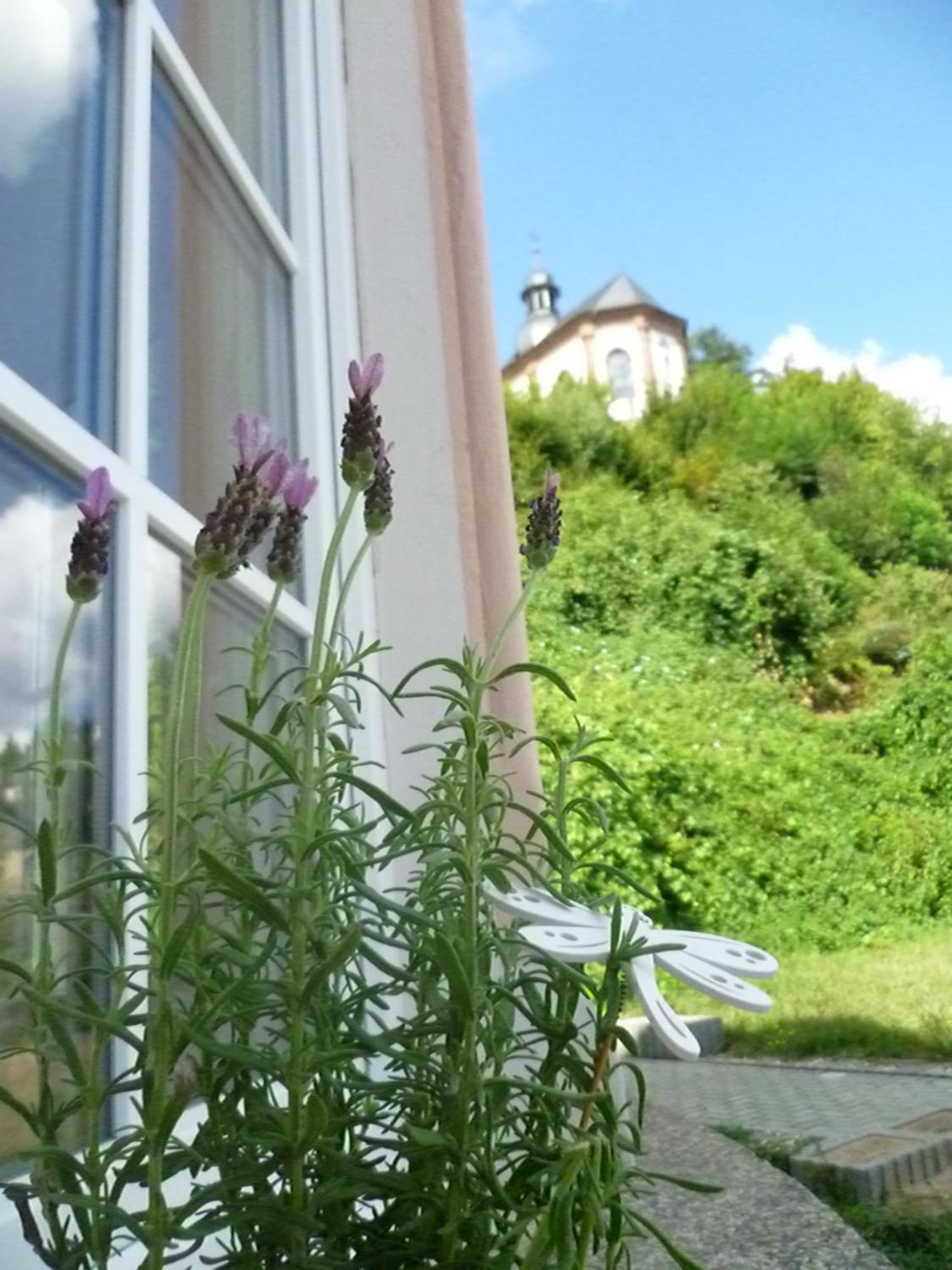 Moderne Wohnung In Barockem Altstadthaus Nahe Altstadt Und Radweg Blieskastel Exteriér fotografie