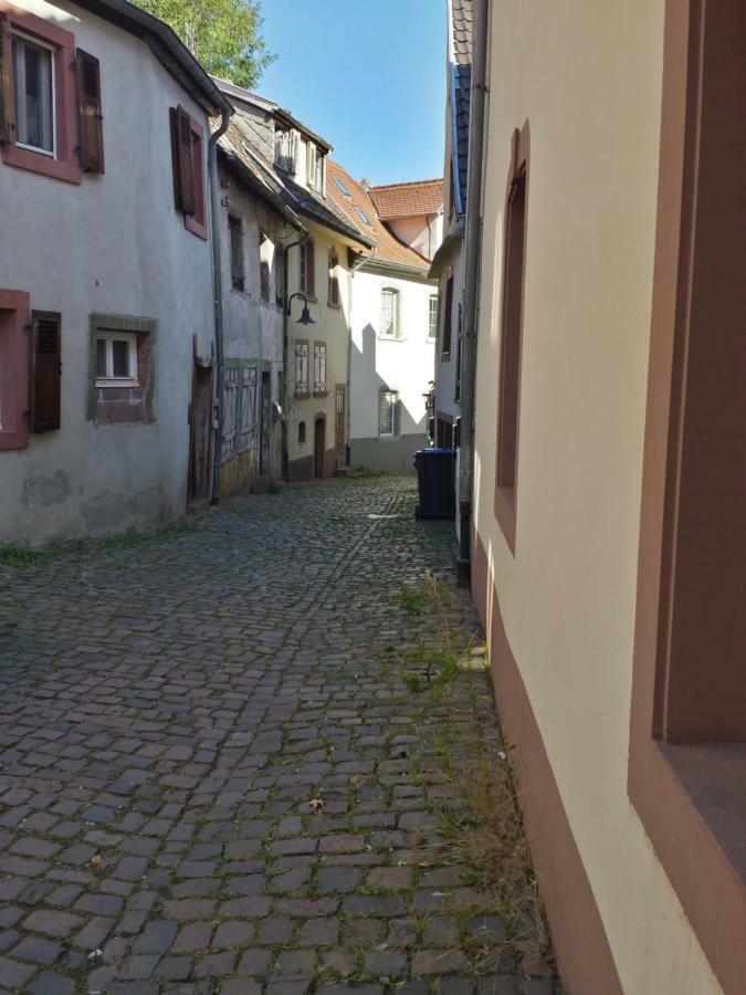 Moderne Wohnung In Barockem Altstadthaus Nahe Altstadt Und Radweg Blieskastel Exteriér fotografie