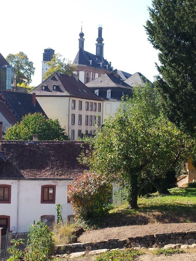Moderne Wohnung In Barockem Altstadthaus Nahe Altstadt Und Radweg Blieskastel Exteriér fotografie